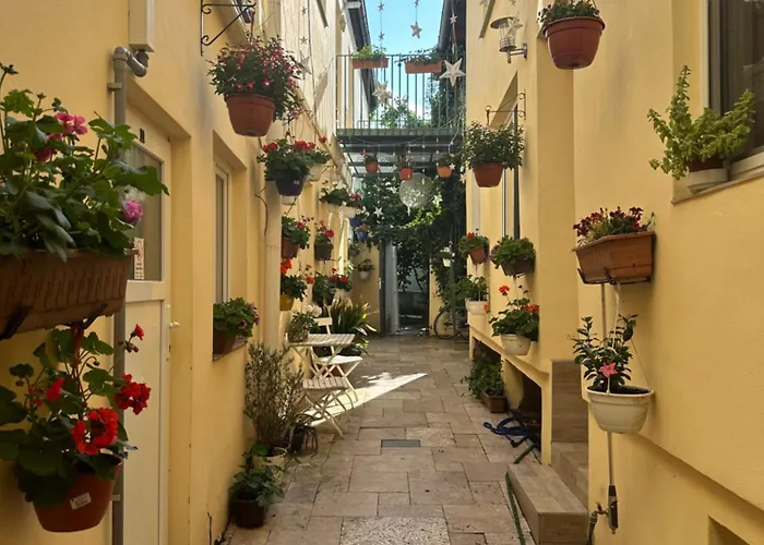 4 Dvory 3* צ'סקה בודיוביצה